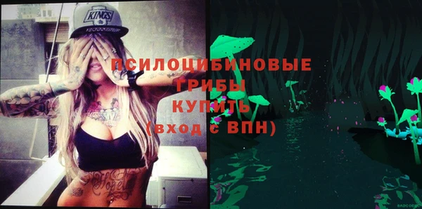 прущий лед Арсеньев