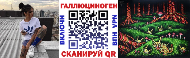 blacksprut ONION Сатка Галлюциногенные грибы Psilocybe